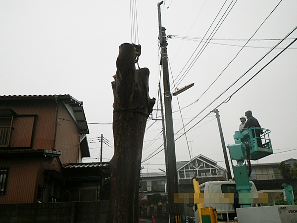 imgp0120